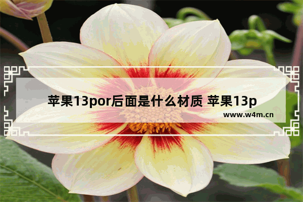 苹果13por后面是什么材质 苹果13por后面是什么材质的