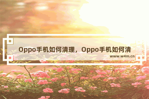 Oppo手机如何清理，Oppo手机如何清理垃圾?