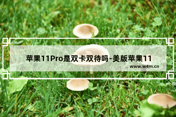 苹果11Pro是双卡双待吗-美版苹果11pro是双卡双待吗