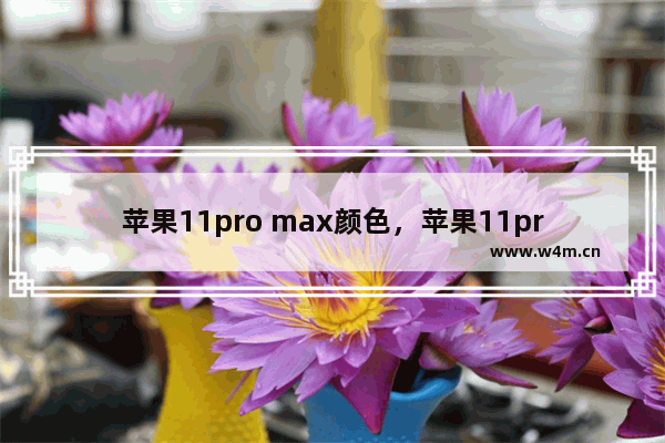 苹果11pro max颜色，苹果11pro max颜色哪个好看