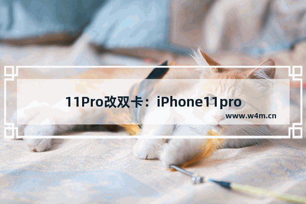 11Pro改双卡：iPhone11pro改双卡