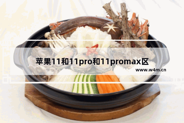 苹果11和11pro和11promax区别