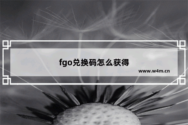 fgo兑换码怎么获得