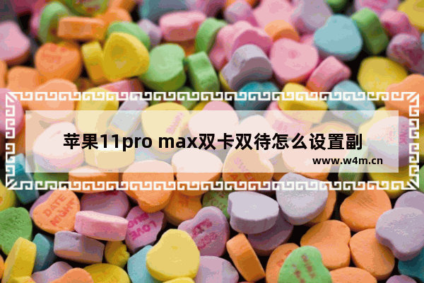 苹果11pro max双卡双待怎么设置副卡网络