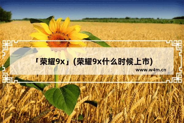 「荣耀9x」(荣耀9x什么时候上市)