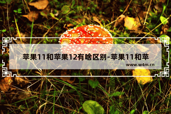 苹果11和苹果12有啥区别-苹果11和苹果12有啥区别外观