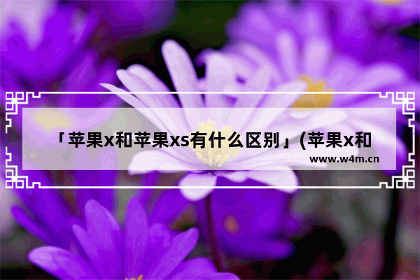 「苹果x和苹果xs有什么区别」(苹果x和苹果xs有什么区别哪个好)