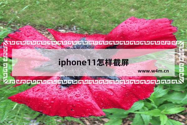 iphone11怎样截屏