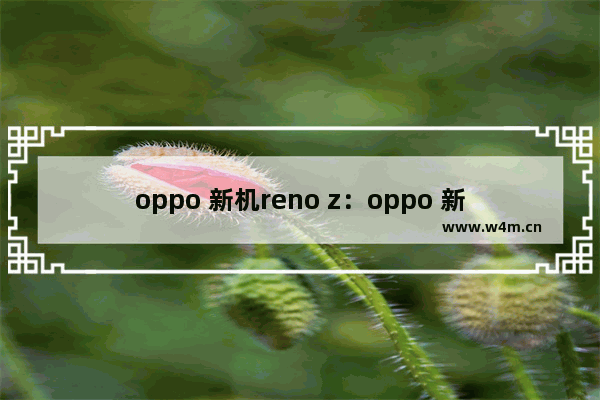 oppo 新机reno z：oppo 新机reno z的优缺点