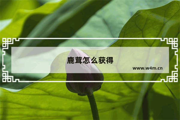 鹿茸怎么获得