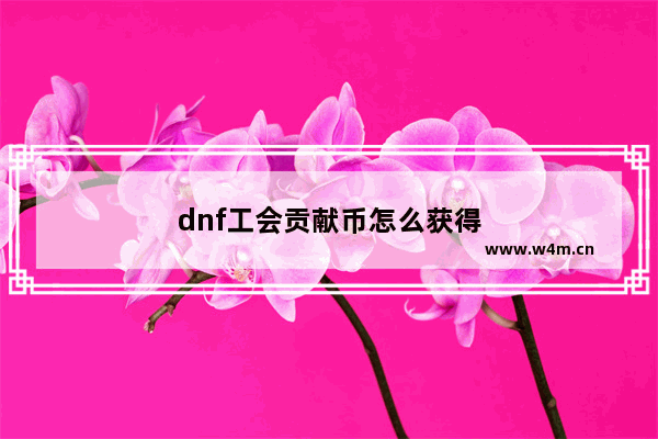 dnf工会贡献币怎么获得