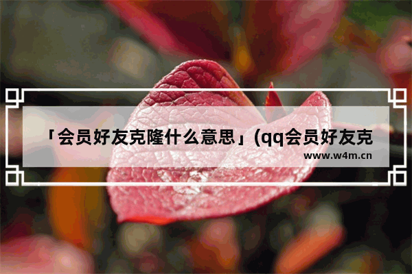 「会员好友克隆什么意思」(qq会员好友克隆什么意思)