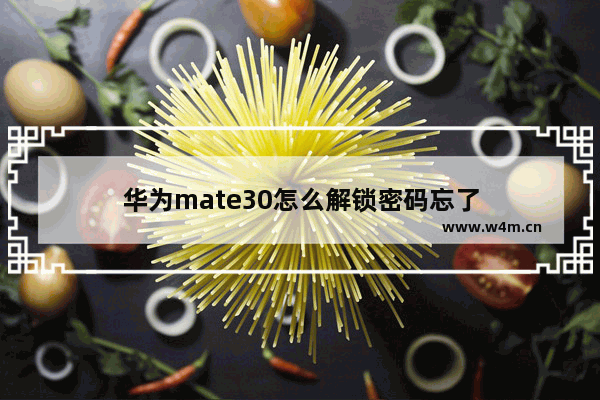 华为mate30怎么解锁密码忘了