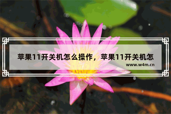 苹果11开关机怎么操作，苹果11开关机怎么操作攻略