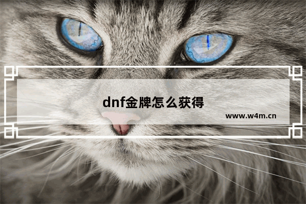 dnf金牌怎么获得