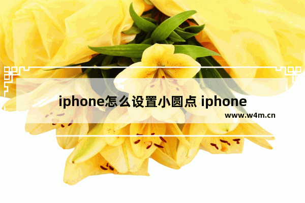 iphone怎么设置小圆点 iphone怎么设置小圆点怎么设置面容