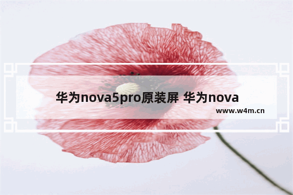 华为nova5pro原装屏 华为nova5Pro原装屏幕