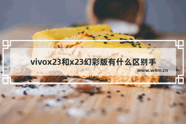 vivox23和x23幻彩版有什么区别手机壳一样吗