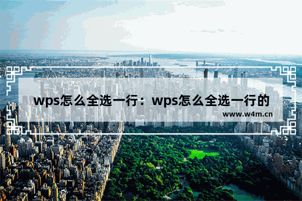 wps怎么全选一行：wps怎么全选一行的图片