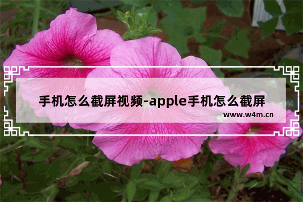 手机怎么截屏视频-apple手机怎么截屏视频