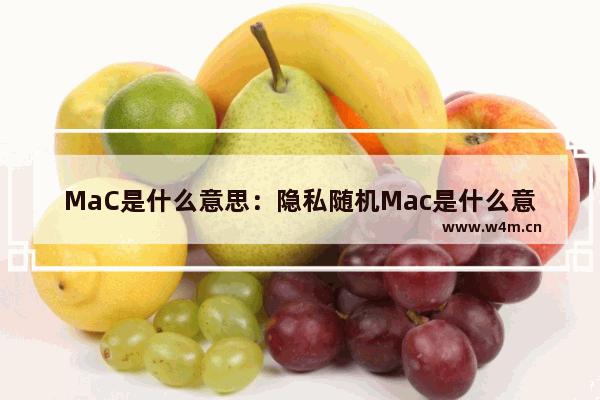 MaC是什么意思：隐私随机Mac是什么意思