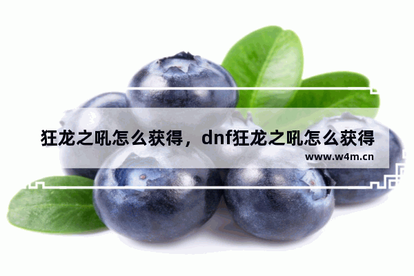 狂龙之吼怎么获得，dnf狂龙之吼怎么获得