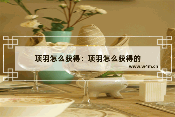 项羽怎么获得：项羽怎么获得的