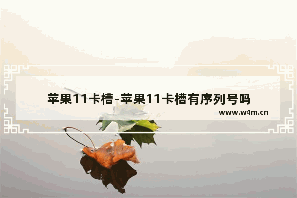 苹果11卡槽-苹果11卡槽有序列号吗