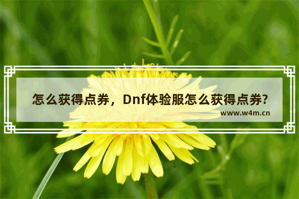 怎么获得点券，Dnf体验服怎么获得点券?