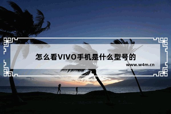 怎么看VIVO手机是什么型号的