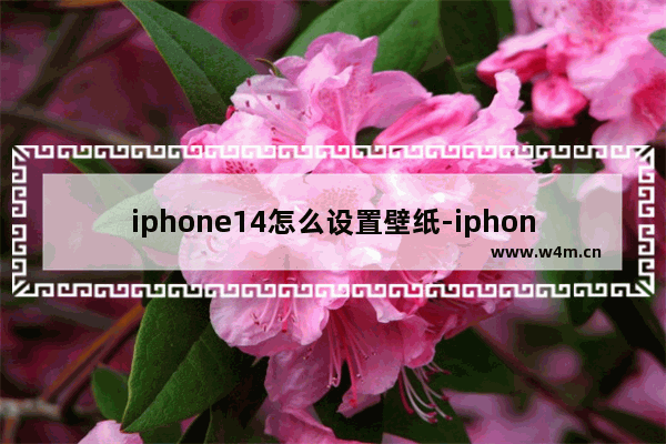 iphone14怎么设置壁纸-iphone14怎么设置壁纸视频