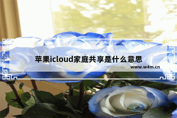 苹果icloud家庭共享是什么意思