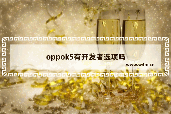 oppok5有开发者选项吗