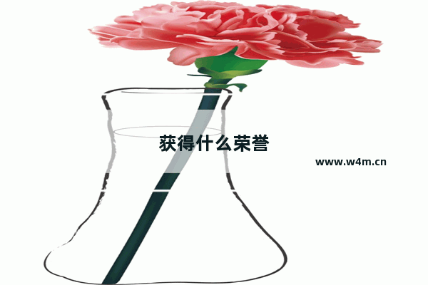 获得什么荣誉