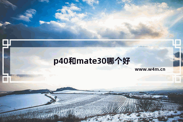 p40和mate30哪个好