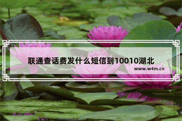 联通查话费发什么短信到10010湖北