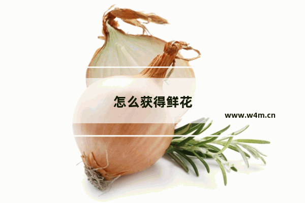 怎么获得鲜花