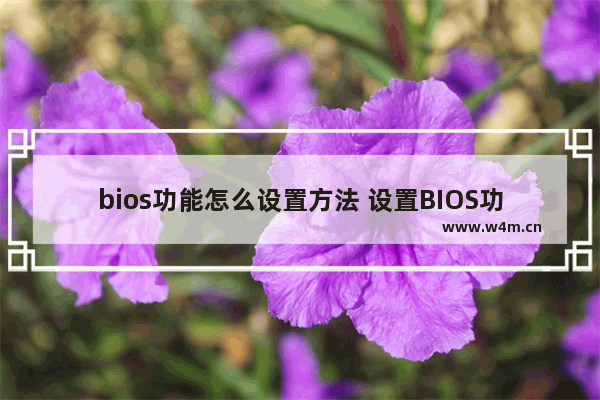 bios功能怎么设置方法 设置BIOS功能的方法