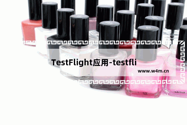 TestFlight应用-testflight应用网站