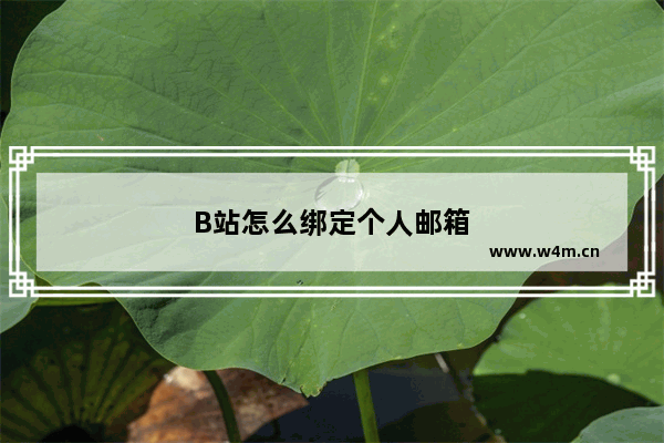 B站怎么绑定个人邮箱