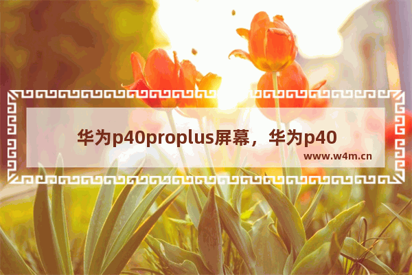 华为p40proplus屏幕，华为p40proplus屏幕供应商