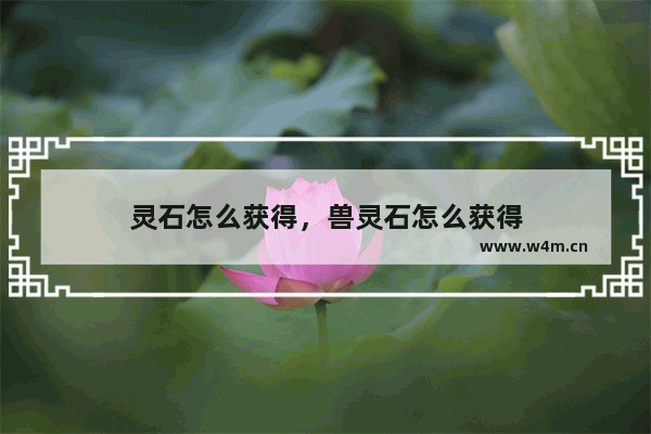 灵石怎么获得，兽灵石怎么获得