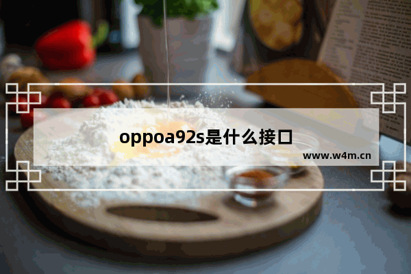 oppoa92s是什么接口