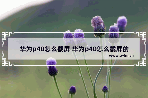 华为p40怎么截屏 华为p40怎么截屏的4种方法图片