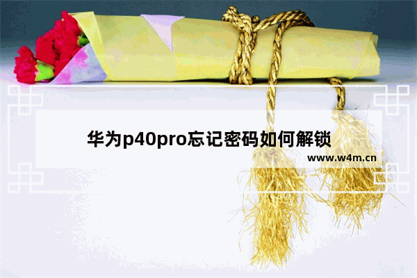 华为p40pro忘记密码如何解锁