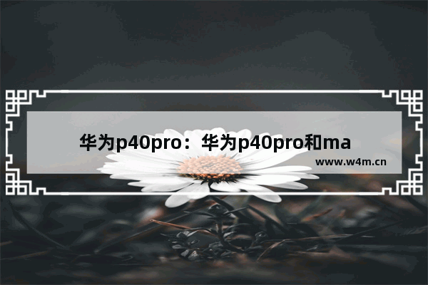 华为p40pro：华为p40pro和mate30pro哪个好