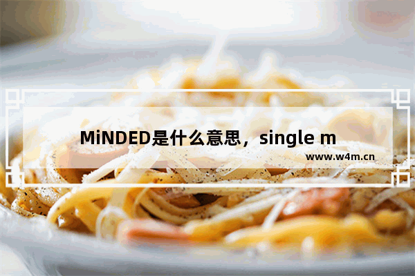 MiNDED是什么意思，single minded是什么意思啊