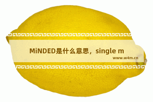 MiNDED是什么意思，single minded是什么意思啊