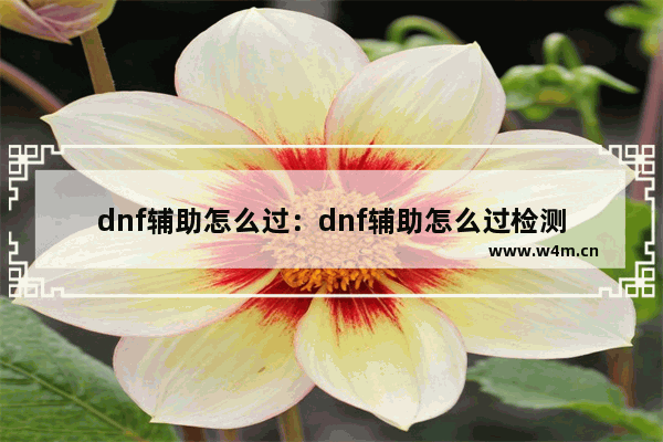 dnf辅助怎么过：dnf辅助怎么过检测