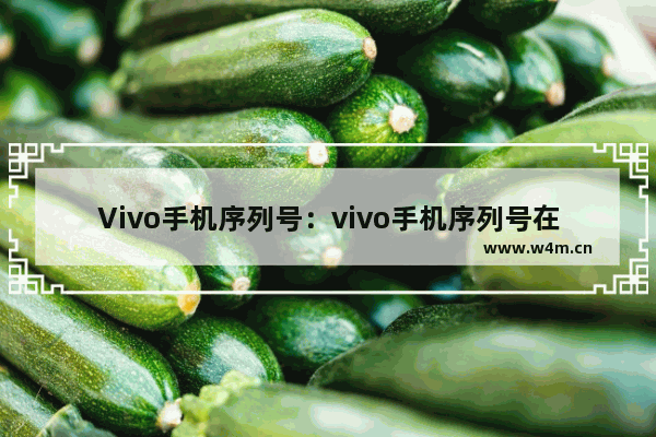 Vivo手机序列号：vivo手机序列号在哪看